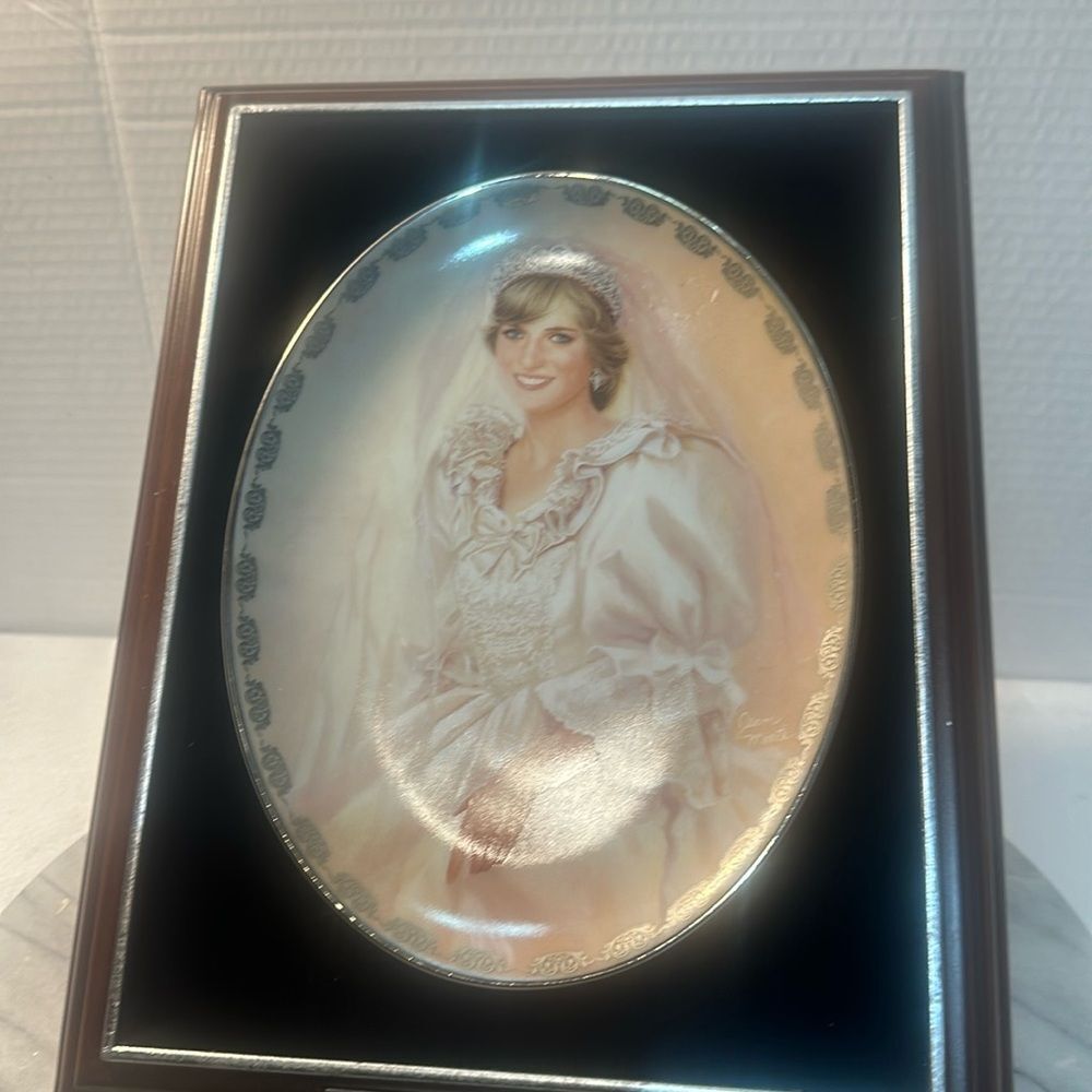 The peoples princess Diana plate box framed